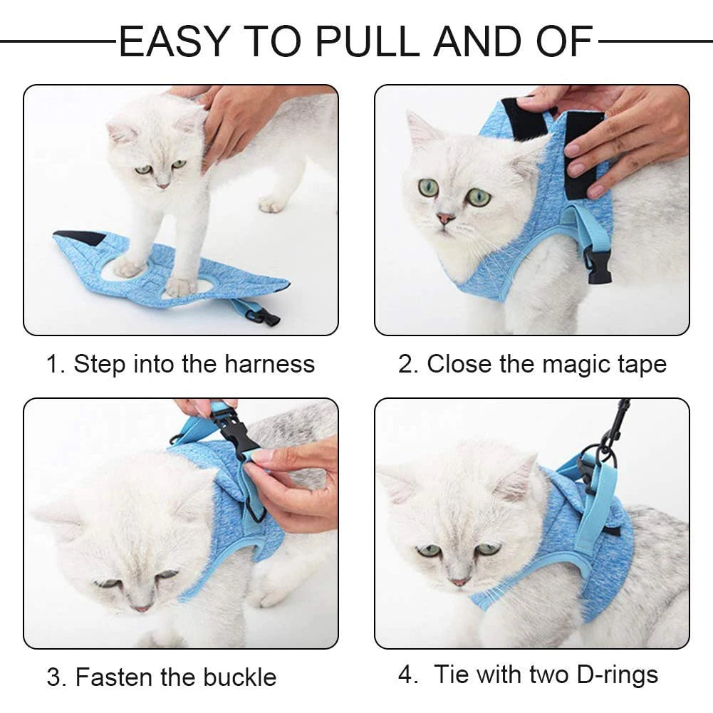 Four-step blue harness fitting guide