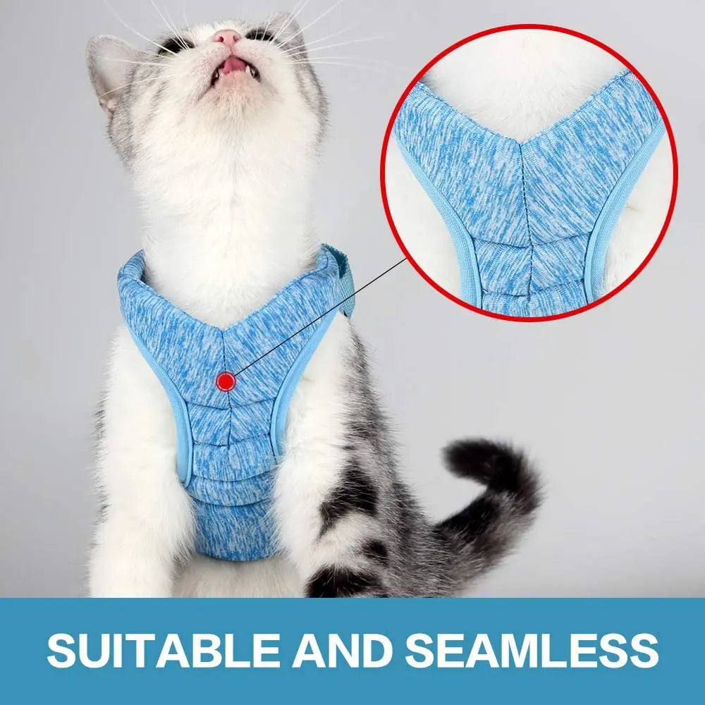 Close view of the blue harness fit and fabric