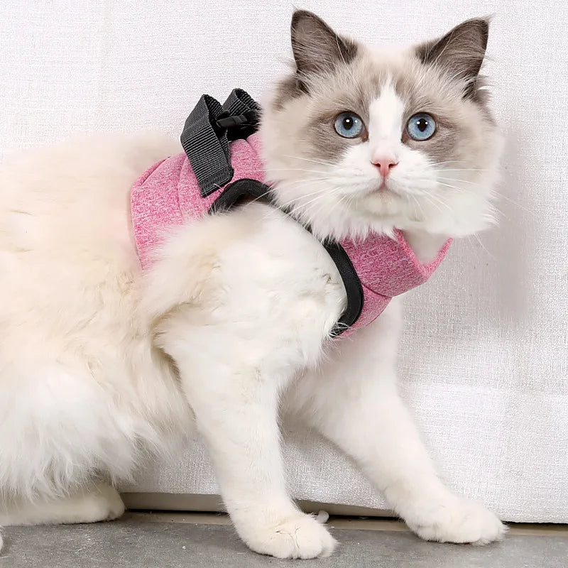 Pink wraparound cat harness family hero