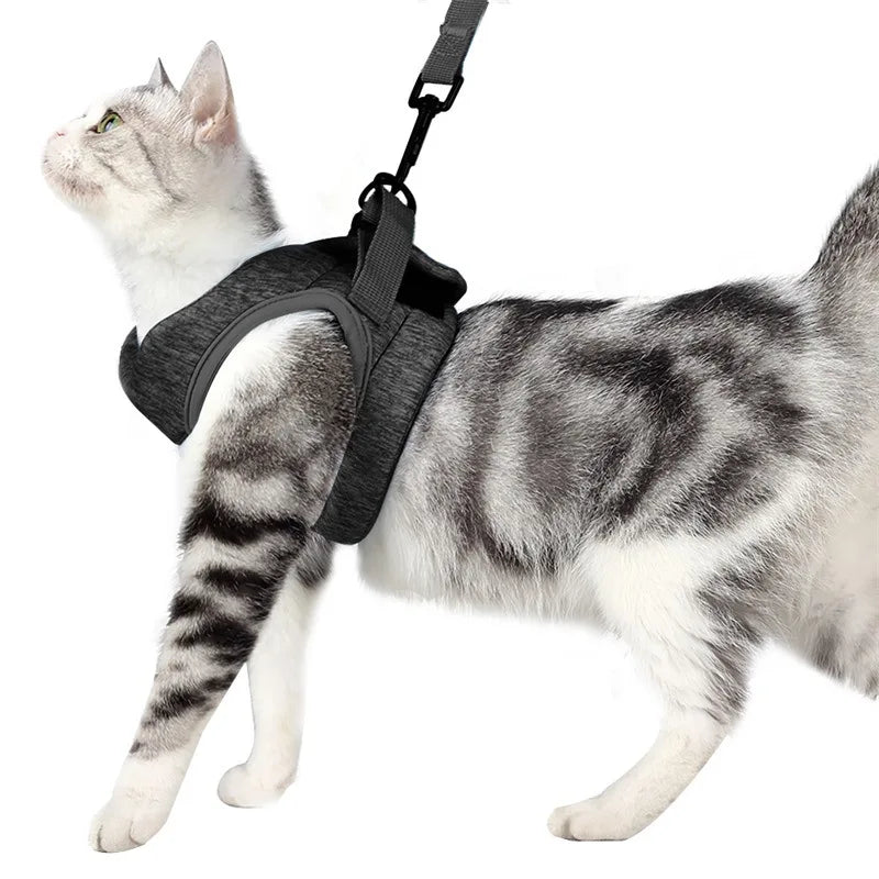 Gray wraparound cat harness family hero