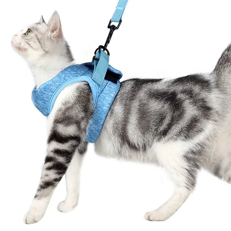 Blue wraparound cat harness family hero
