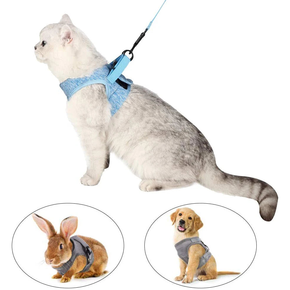 Supplier compatibility graphic with cat, rabbit, and dog images