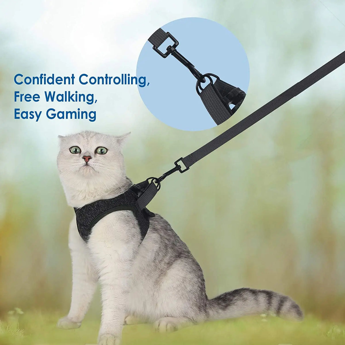 Cat wearing the gray harness with leash attached