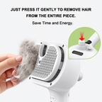 Rechargeable Mist Pet Grooming Brush