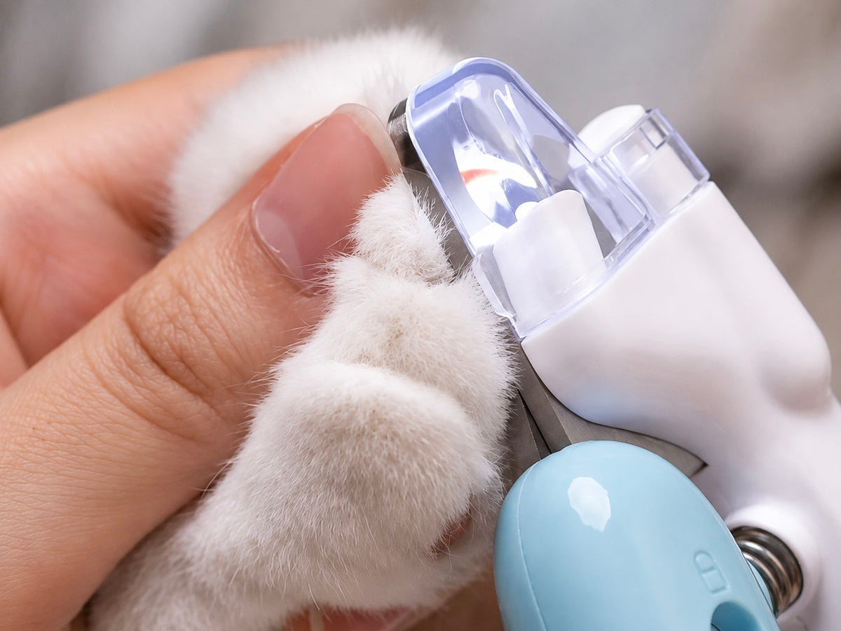 Compact stainless steel pet nail clippers with a built-in LED