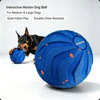 Rechargeable Motion Dog Ball