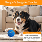 Rechargeable Motion Dog Ball