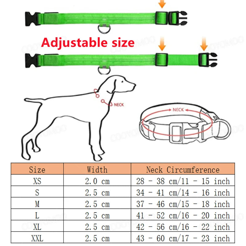 USB-Rechargeable Light-Up Dog Collar