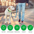 USB-Rechargeable Light-Up Dog Collar