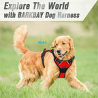 Red reflective dog harness used outdoors