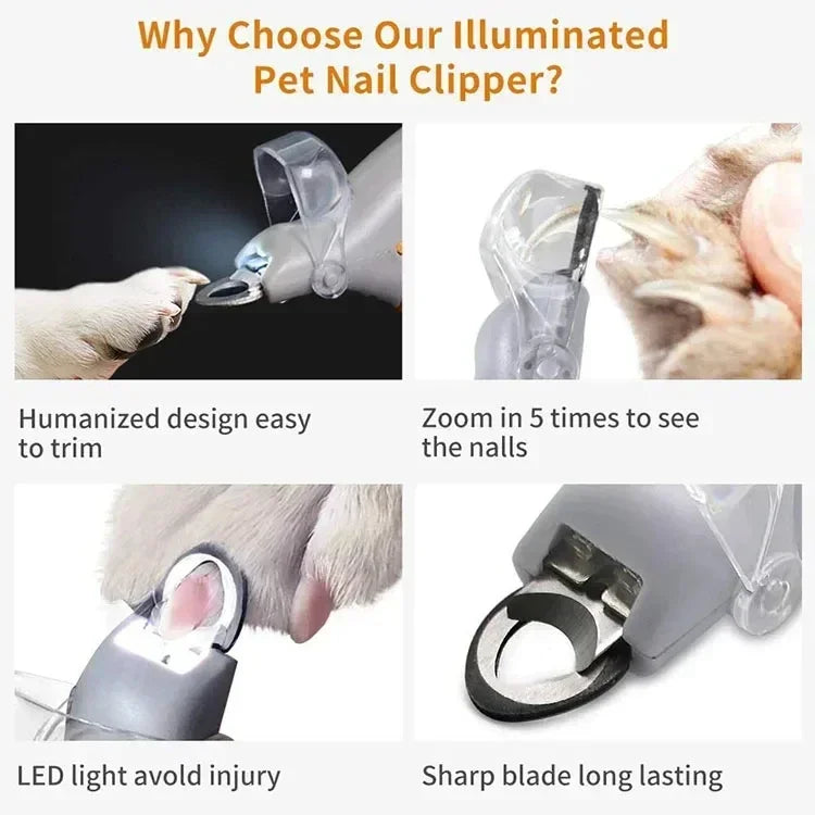 LED, magnifying guard and blade feature panel