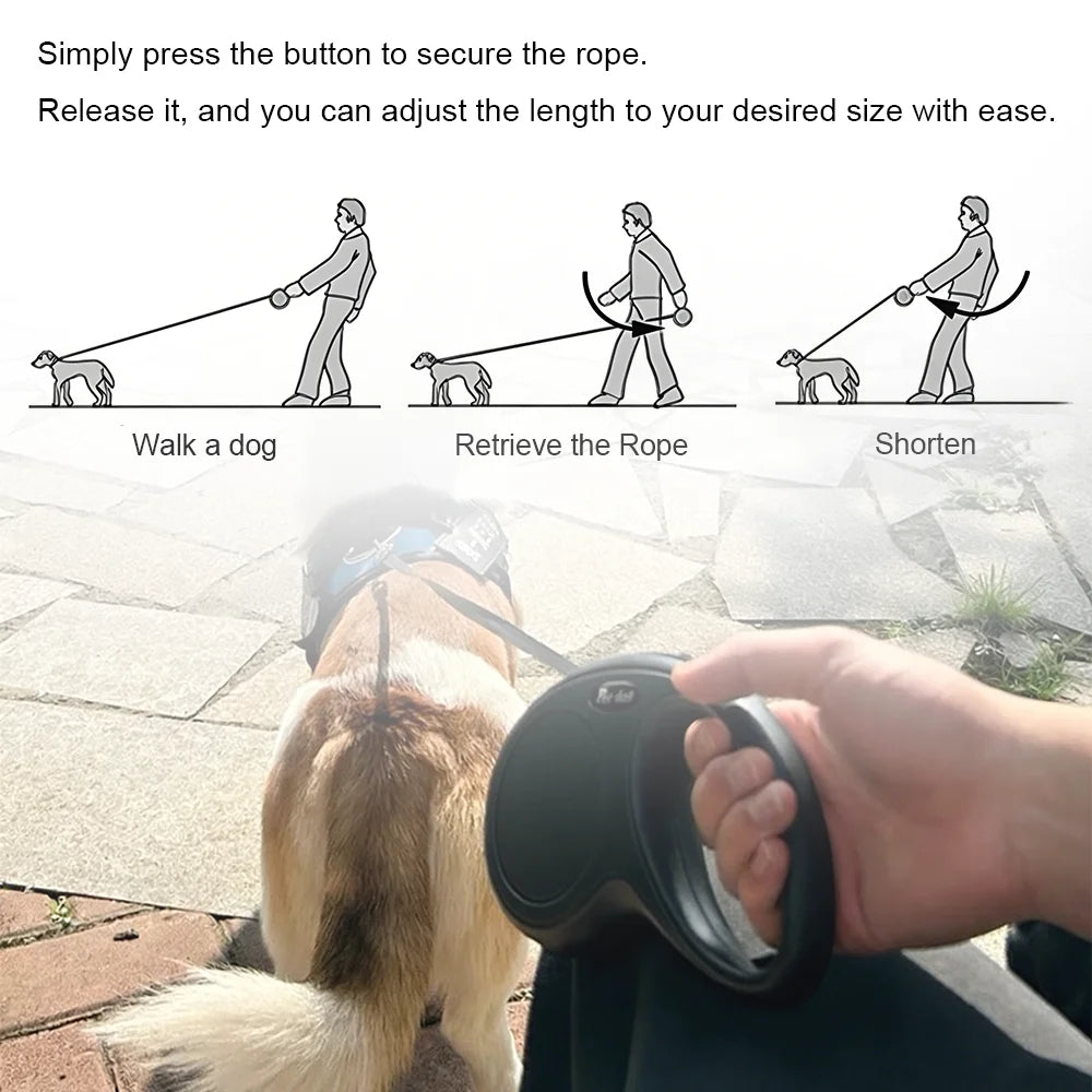 Compact Retractable Leash & Reflector Accessories