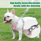 Reflective Adjustable Pet Harness Set — detail view 4