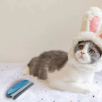 Reusable Pet Hair Remover Scraper