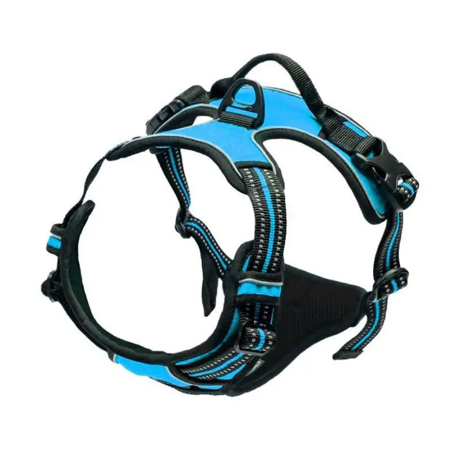 Blue reflective dual-clip dog harness