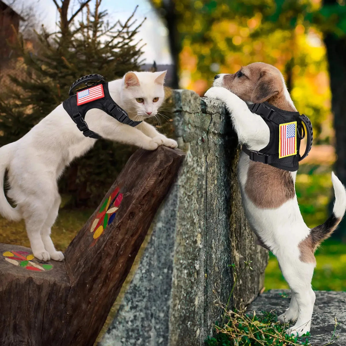 Tactical Small-Pet Harness & Leash Set — product view 6