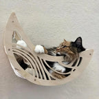 Cat resting in a natural wood moon hammock