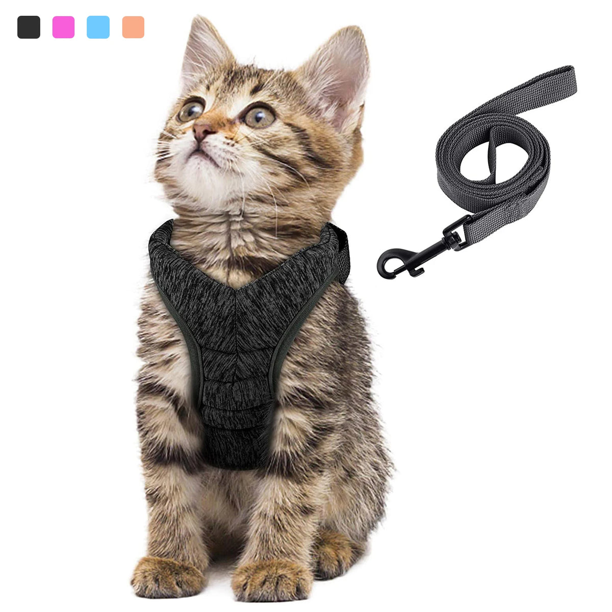 Gray wraparound cat harness and leash on white