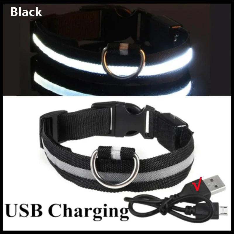 Black USB-Rechargeable Light-Up Dog Collar