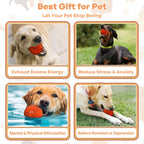 Rechargeable Motion Dog Ball
