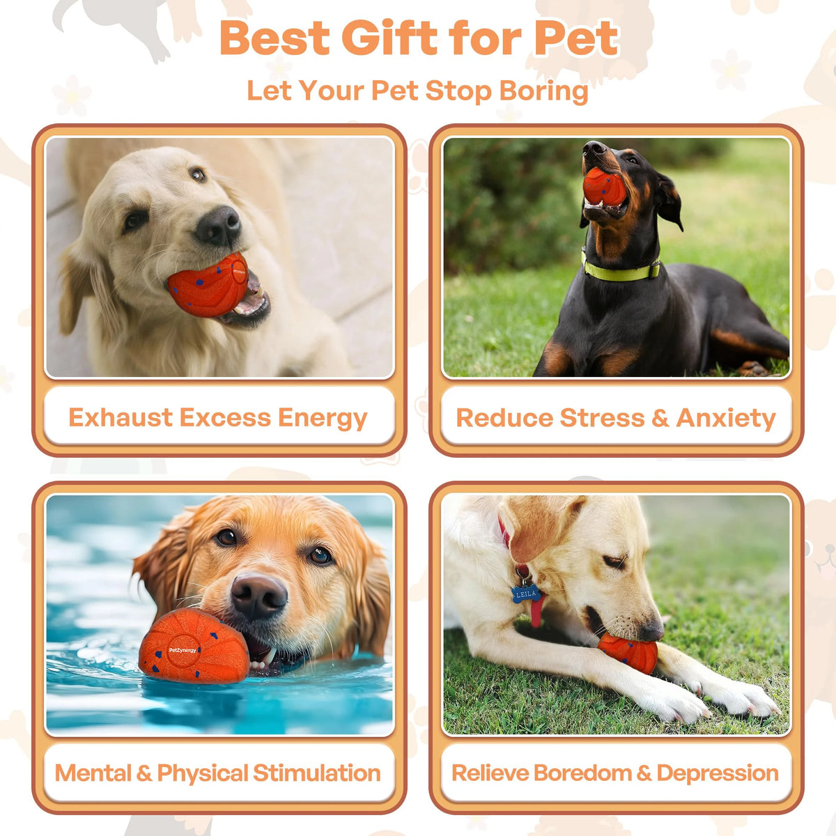 Rechargeable Motion Dog Ball