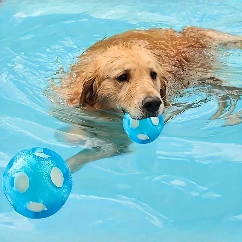 Dog carrying a floating blue ball in a swimming pool