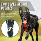 Secure buckle detail on the reflective harness