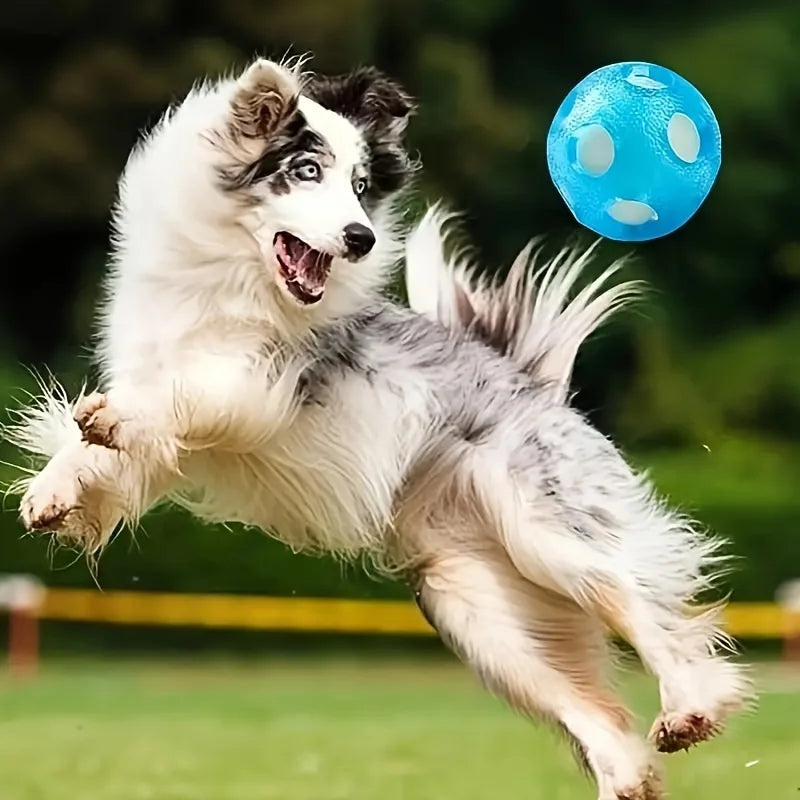 Floating Water-Play Dog Ball