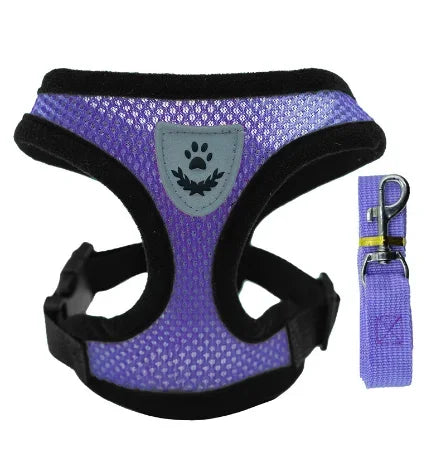 Purple mesh harness and matching leash