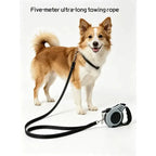 Black and gray 5 m retractable leash with a dog