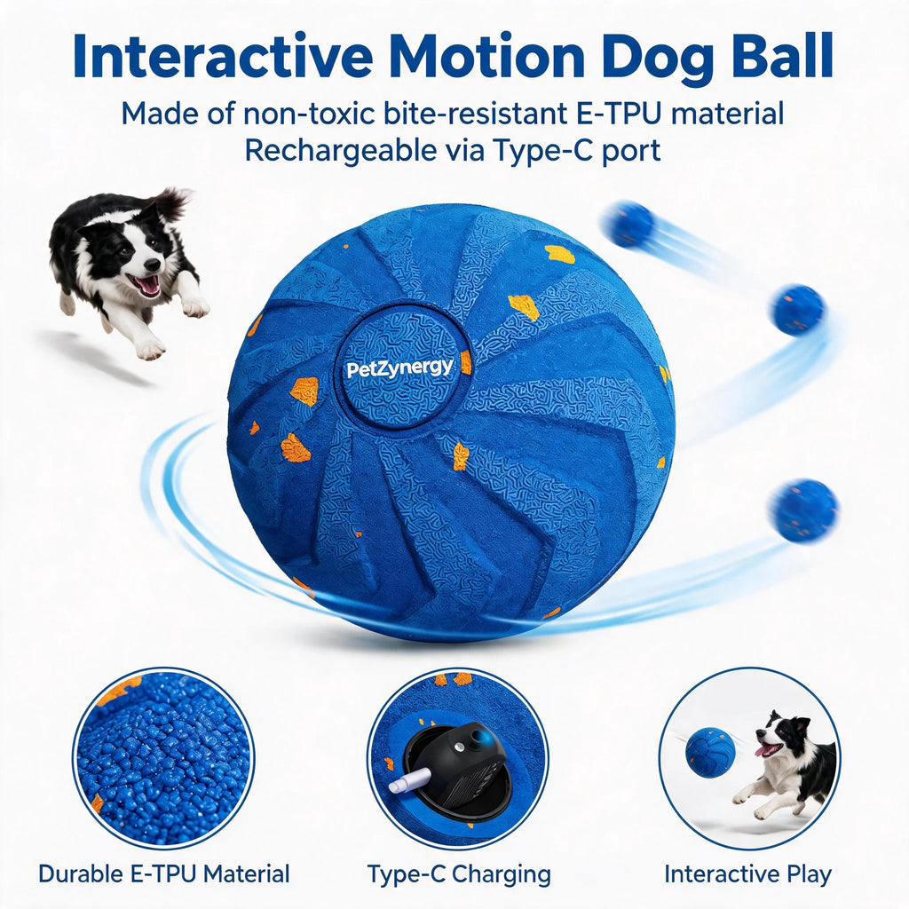 Rechargeable Motion Dog Ball