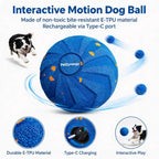 Rechargeable Motion Dog Ball
