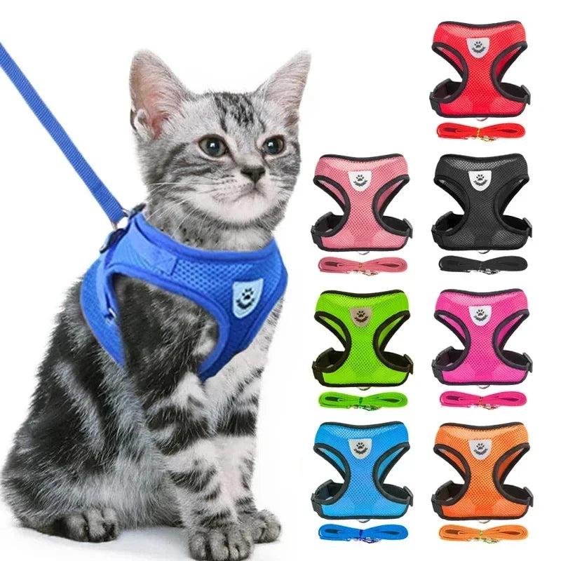 Blue mesh pet harness and leash on a cat with eight color choices