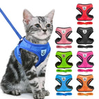 Blue mesh pet harness and leash on a cat with eight color choices