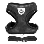 Black mesh harness and matching leash