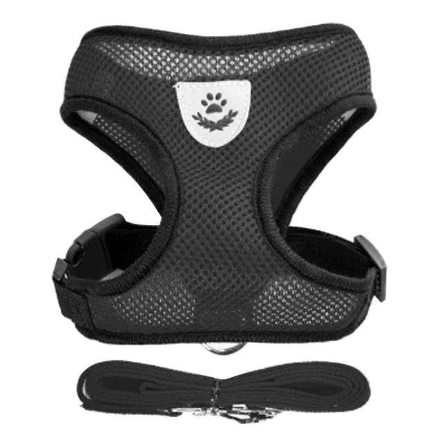 Black mesh harness and matching leash