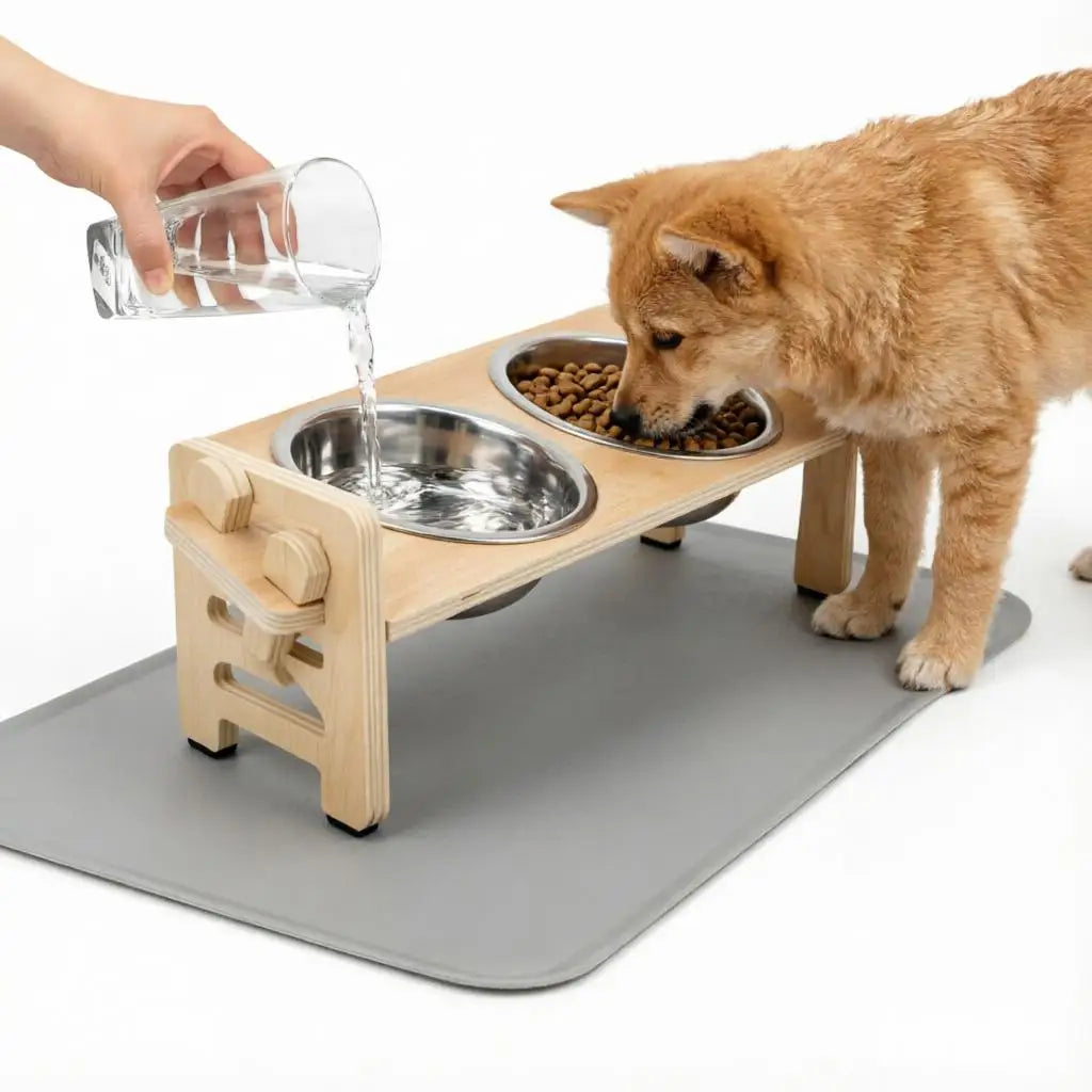 Adjustable Raised Pet Bowl Set product overview