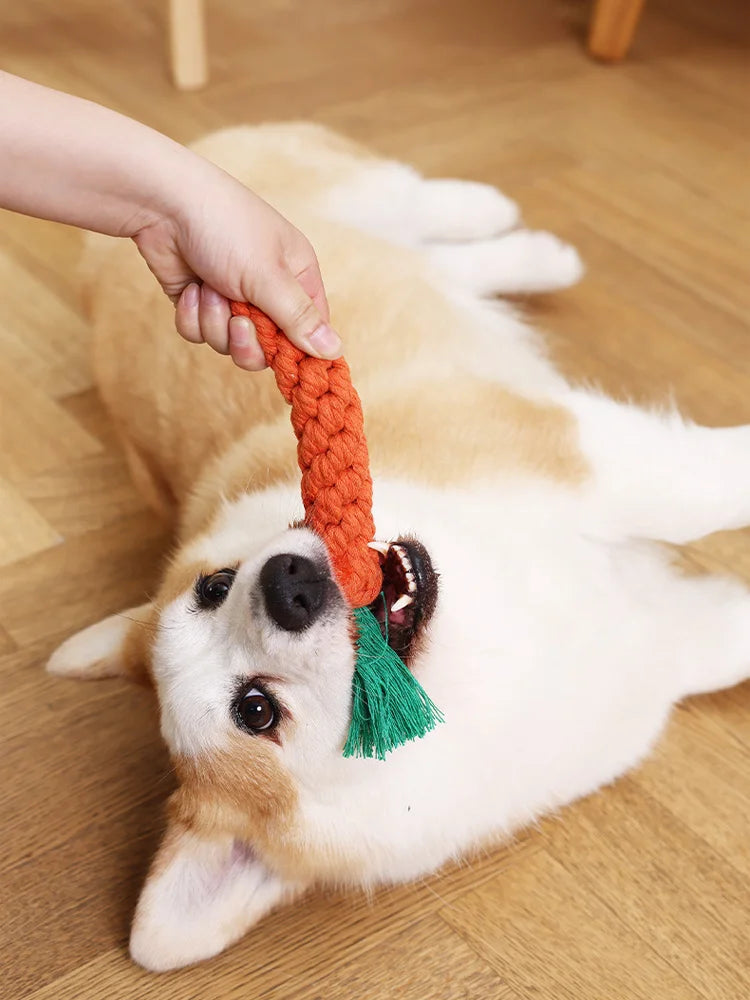 Cotton Rope Carrot Dog Toy — detail view 5