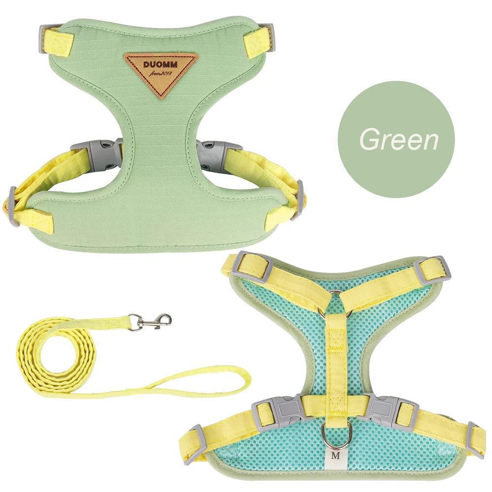 Green harness and matching leash on white