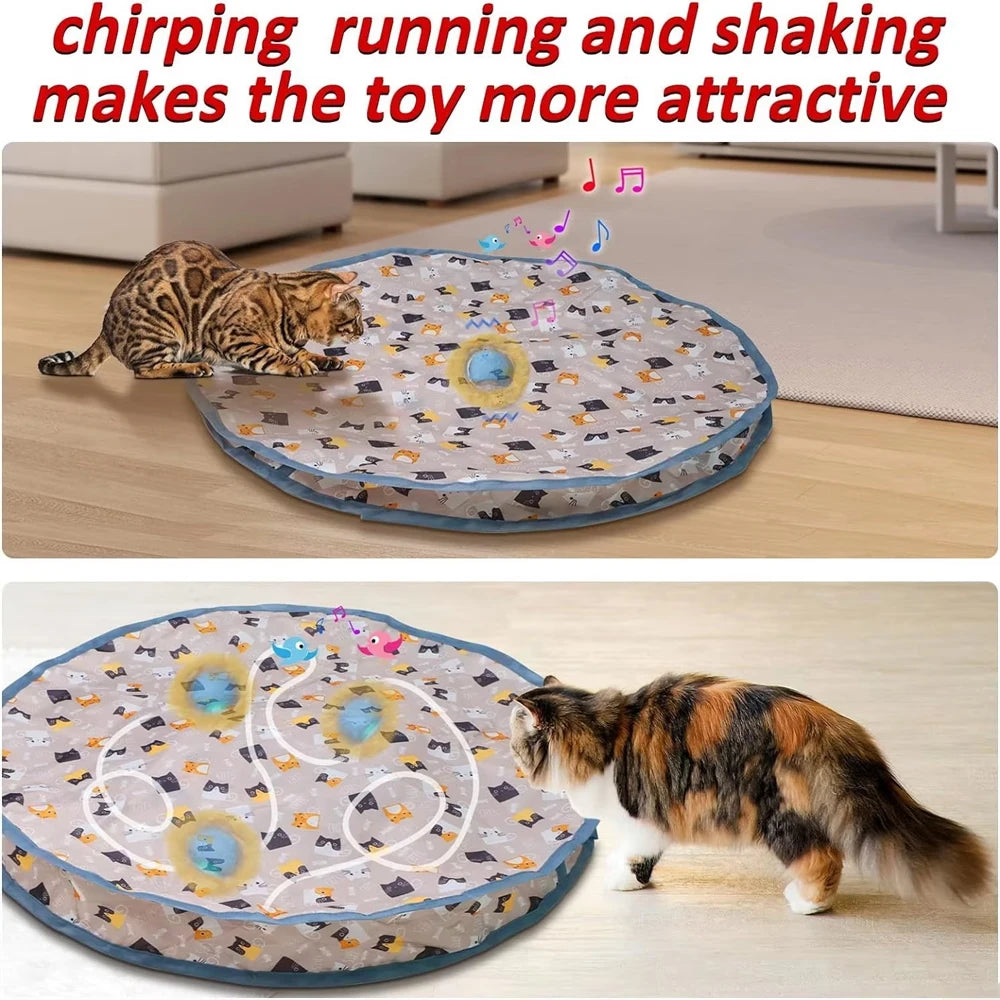 Cats following a chirping rolling ball beneath the hideaway pouch