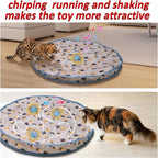 Cats following a chirping rolling ball beneath the hideaway pouch
