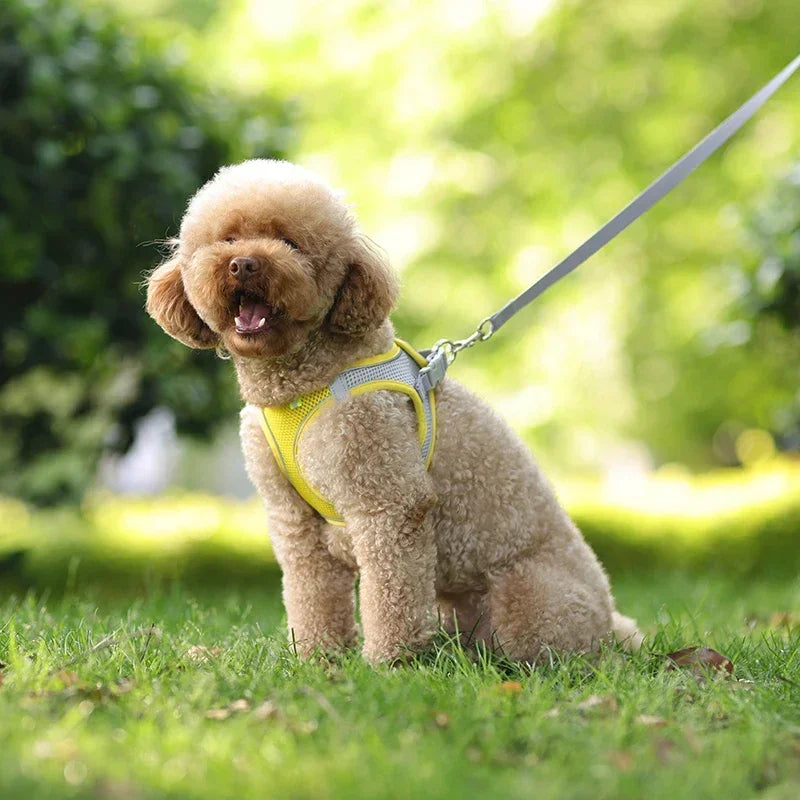 Reflective Mesh Harness & Leash Set — product view 5