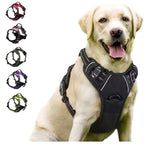 Black reflective dual-clip dog harness on a Labrador