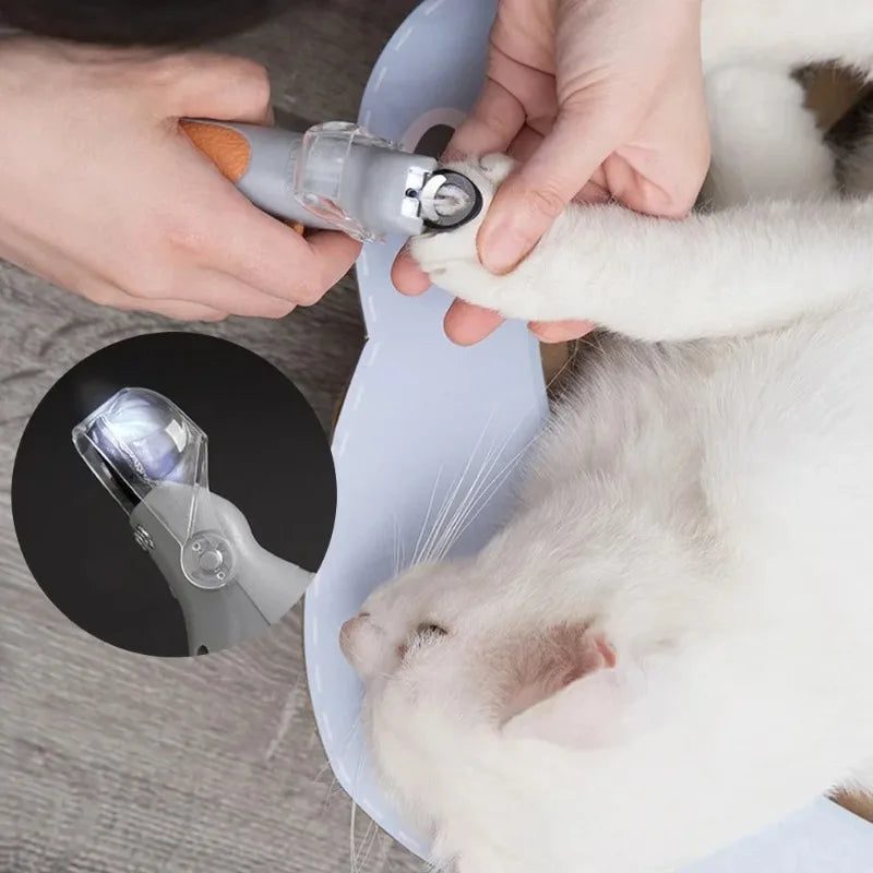 Magnifying guard positioned over a dog's nail