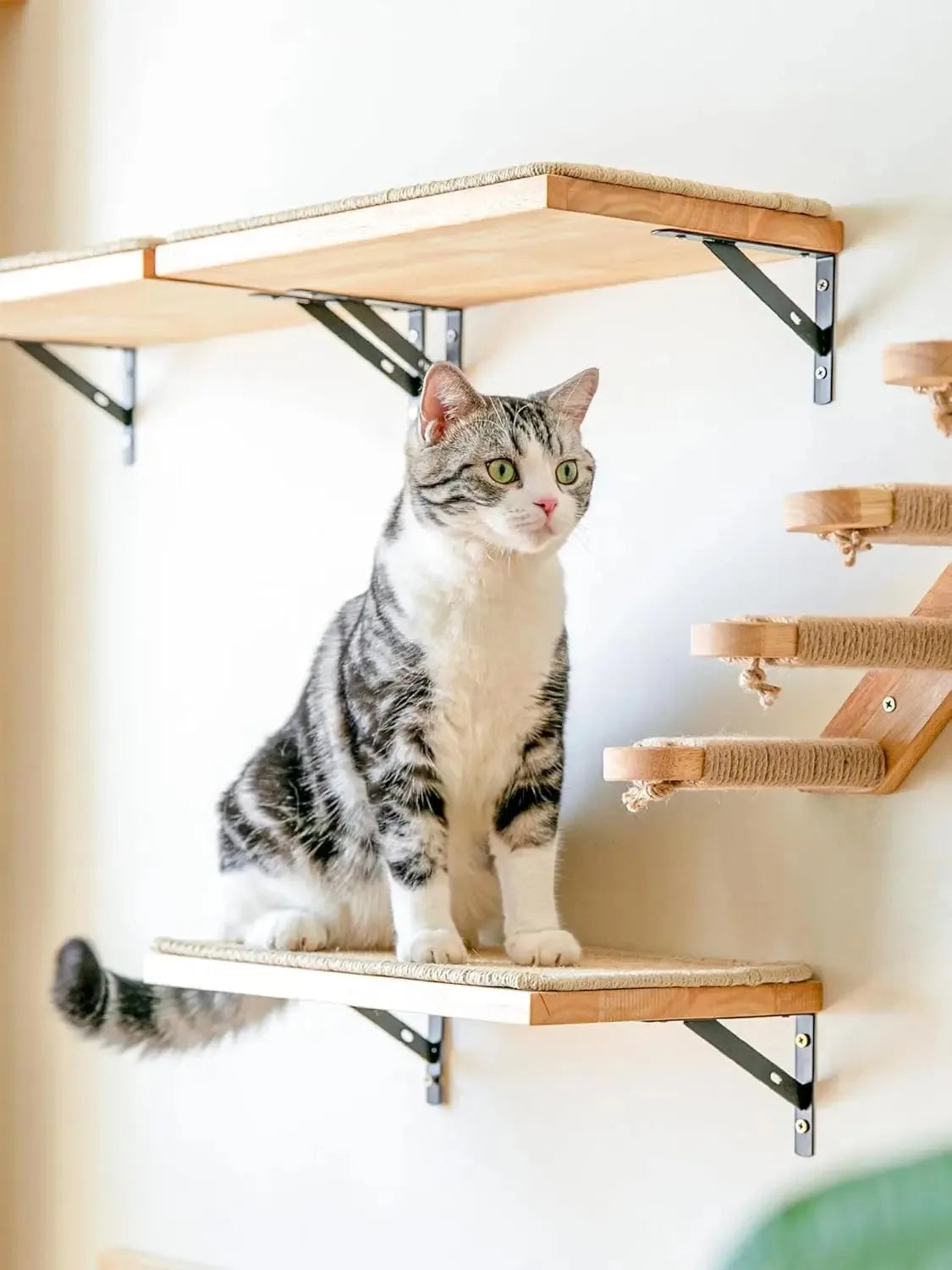 Natural Wood Cat Wall Furniture