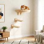 Pine cat hammock and wall-climbing pieces in a room