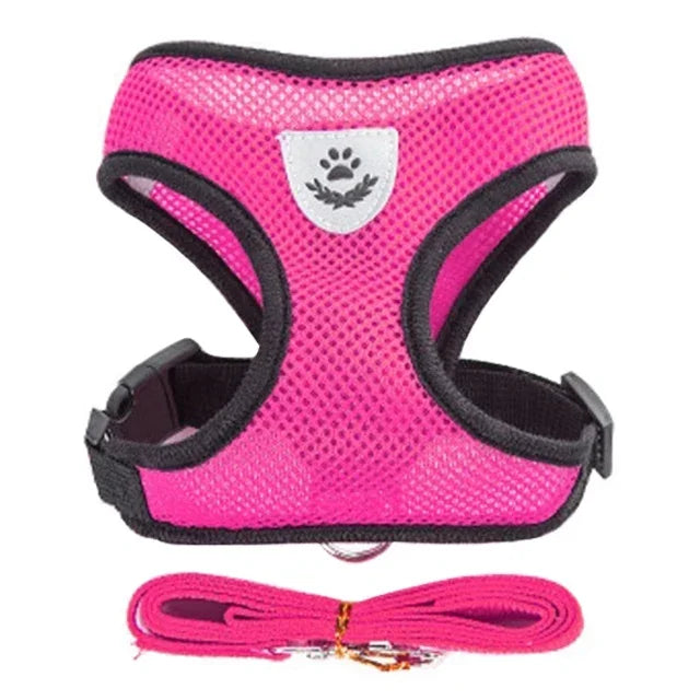 Rose pink mesh harness and matching leash