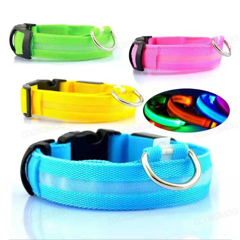 USB-Rechargeable Light-Up Dog Collar