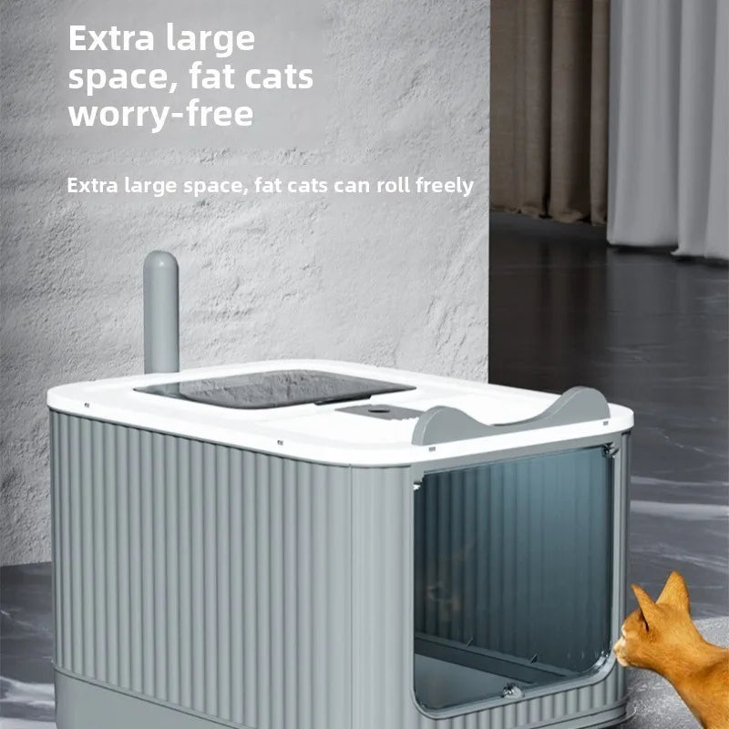 Cat approaching the enclosed litter box