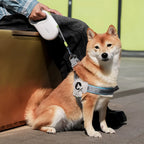 KIMPET™ Striped Tape Retractable Dog Leash